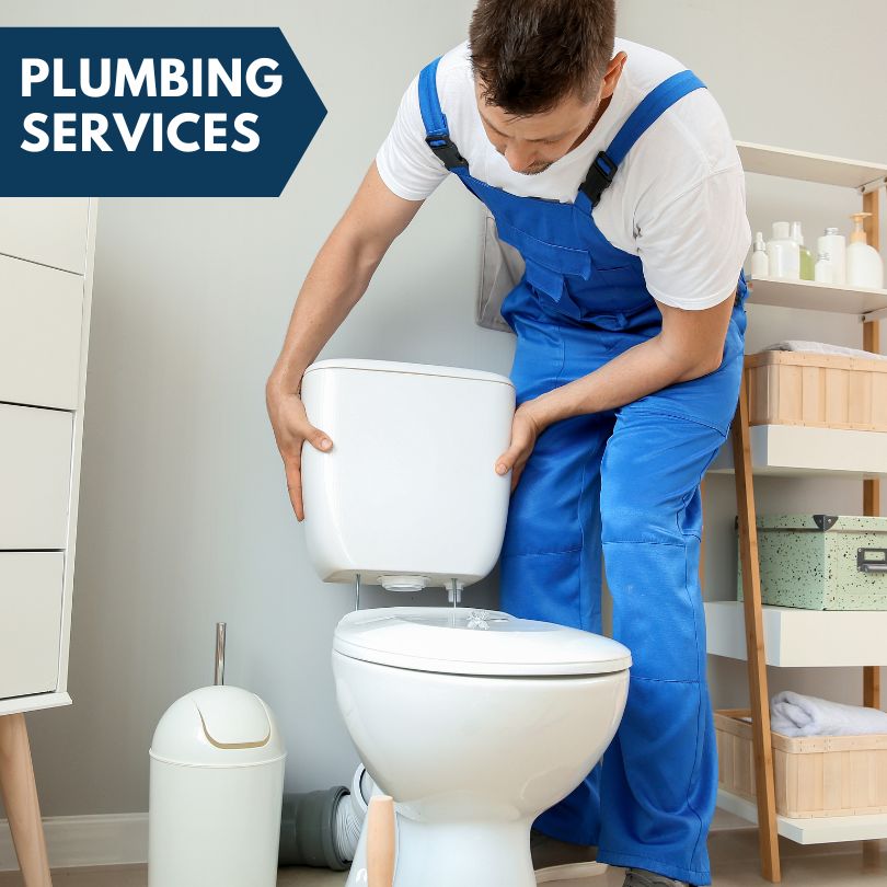 Plumbing Company in Carnesville, GA